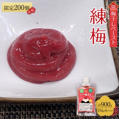 角田市 岸浪園 梅干しペースト 練梅 150g×6パック 限定200個