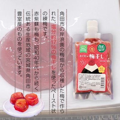 角田市 岸浪園 梅干しペースト 練梅 150g×6パック 限定200個