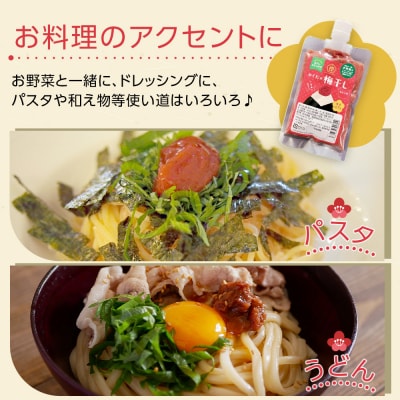 【2026年1月下旬より発送】梅干し ペースト 練梅 4パック 限定200個