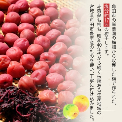 梅干し 170g 4パック入り 限定400個
