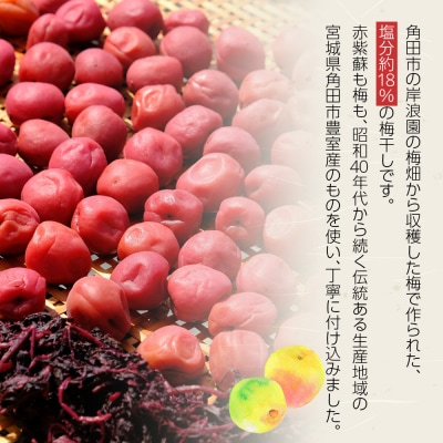 【2026年1月下旬より発送】梅干し 100g 6パック入り 限定300個