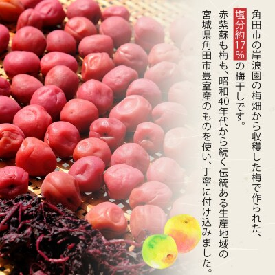 角田市 岸浪園 梅干し 100g×6パック 限定300個