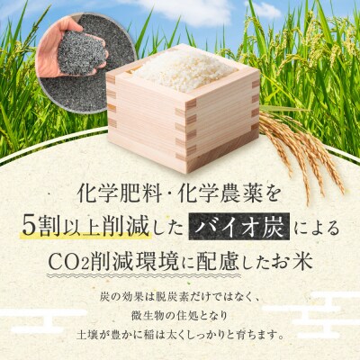 【令和7年産】つや姫 5kg×1 CO2削減 環境配慮米|7年産米 つや姫 ブランド米