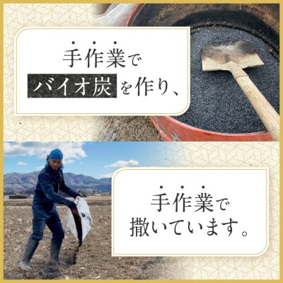 【令和7年産】つや姫 5kg×1 CO2削減 環境配慮米|7年産米 つや姫 ブランド米
