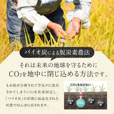 【令和7年産】つや姫 5kg×1 CO2削減 環境配慮米|7年産米 つや姫 ブランド米