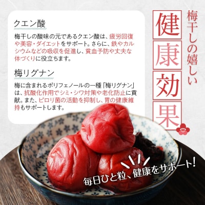 【2026年1月下旬より発送】梅干し しそとうめ 低塩約12% 170g 8パック入り 限定200個
