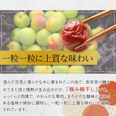 極み梅干し 塩分約17% 100g 4パック入り 限定100個