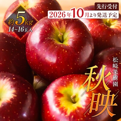 【2026年発送/先行予約】りんご「秋映」約5kg(14～16玉)【松崎果樹園】