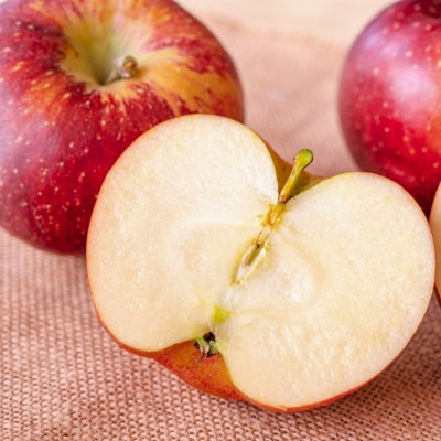 【2026年発送/先行予約】「秋映」約5kg(14～16玉)【松崎果樹園】