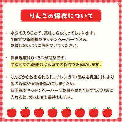 【2026年発送/先行予約】りんご「秋映」約5kg(14～16玉)【松崎果樹園】