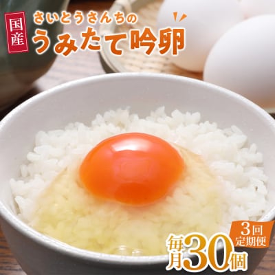 【3回定期便】さいとうさんちのうみたて吟卵　30個入り