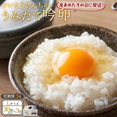 【3回定期便】さいとうさんちのうみたて吟卵　30個入り