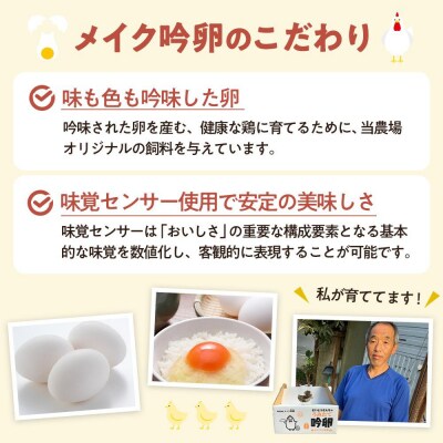 【3回定期便】さいとうさんちのうみたて吟卵　30個入り