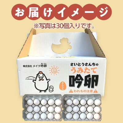 【3回定期便】さいとうさんちのうみたて吟卵　30個入り