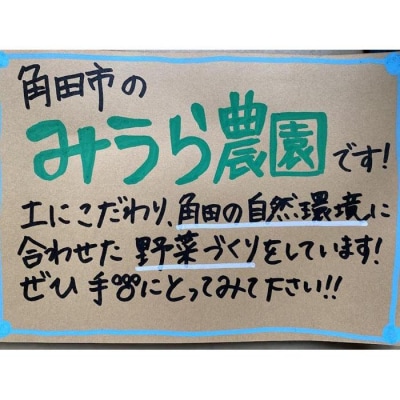 【2026年発送分先行予約】みうら農園 季節の野菜セット(夏野菜)【2026年6月中旬以降順次】