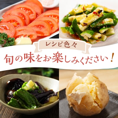 【2026年発送分先行予約】みうら農園 季節の野菜セット(夏野菜)【2026年6月中旬以降順次】