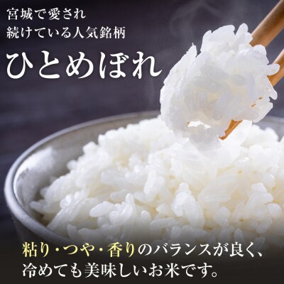【令和7年産】宮城県産ひとめぼれ【無洗米】10kg(5kg×2)