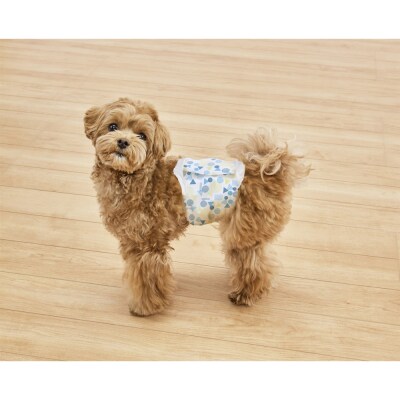 【4枚入×6個】ペット用おむつ ピタフィット XS 男の子用  MNPD-XS4