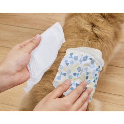 【4枚入×6個】ペット用おむつ ピタフィット L 男の子用  MNPD-L4