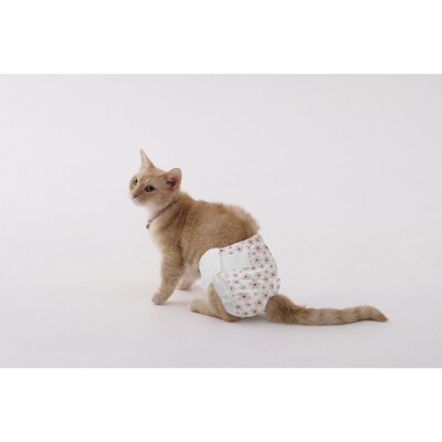 【4枚入×6個】ペット用おむつ ピタフィット XXS 女の子用  FNPD-XXS4