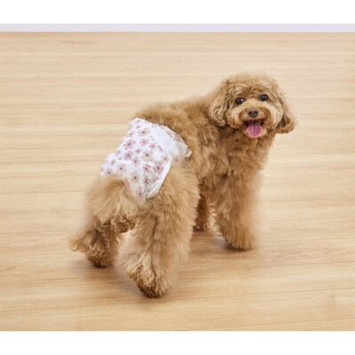 【4枚入×6個】ペット用おむつ ピタフィット S 女の子用  FNPD-S4