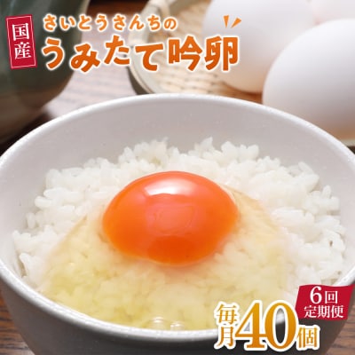 【6回定期便】さいとうさんちのうみたて吟卵　40個入り