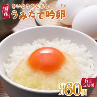 【6回定期便】さいとうさんちのうみたて吟卵　60個入り