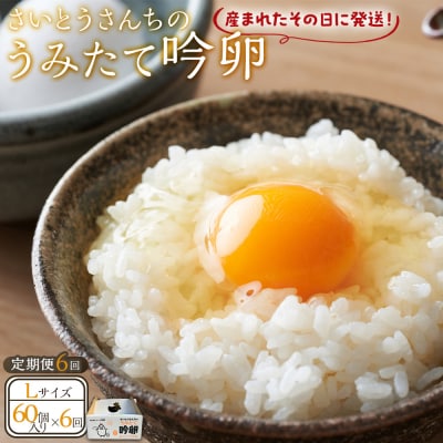 【6回定期便】さいとうさんちのうみたて吟卵　60個入り