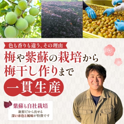 【先行予約】<訳あり>まごころ手作り梅干し1.6kg800g×2)10月上旬以降順次発送