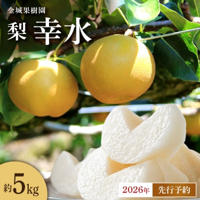 【2026年先行予約】金城果樹園　梨「幸水」約5kg(10～16玉入)2026年8月中旬～順次発送