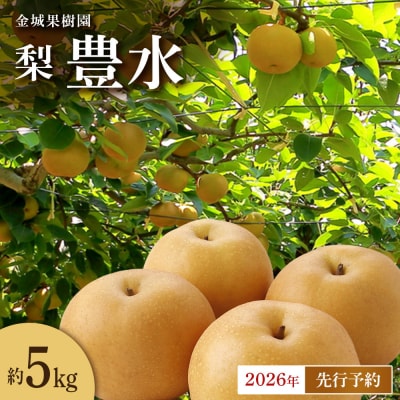 【2026年先行予約】金城果樹園　梨「豊水」約5kg(8～14玉入)2026年9月初旬～順次発送