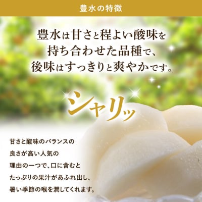 【2026年先行予約】金城果樹園　梨「豊水」約5kg(8～14玉入)2026年9月初旬～順次発送