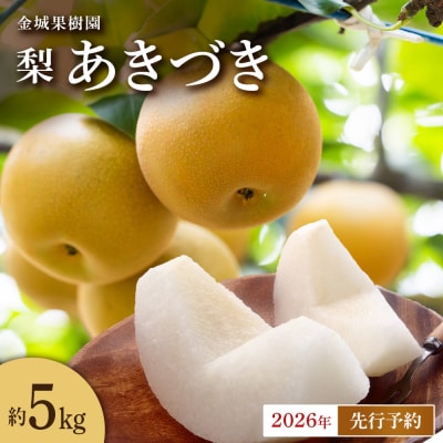 【2026年先行予約】金城果樹園　梨「あきづき」約5kg(8～14玉入)2026年9月中旬～順次発送