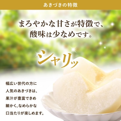 【2026年先行予約】金城果樹園　梨「あきづき」約5kg(8～14玉入)2026年9月中旬～順次発送