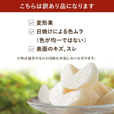 訳あり/2026年先行予約金城果樹園　梨「幸水」約5kg10～16玉入)2026年8月中旬～順次発送