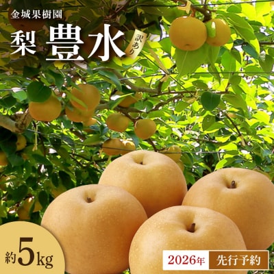 【訳あり/2026年先行予約】金城果樹園梨「豊水」約5kg8～14玉入)2026年9月初旬～順次発送