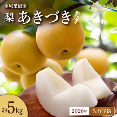 【訳あり/2026年先行予約】金城果樹園梨あきづき約5kg8～14玉入)2026年9月中旬～順次発送