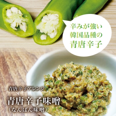 【宮城県産】生青唐辛子 龍の尾 3kgセット(500g×6袋)激辛韓国品種 西根の森|太良衛門
