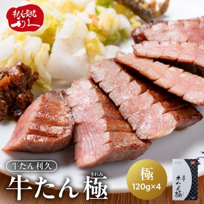 牛タン 極 480g (120g×4個) セット 詰め合わせ