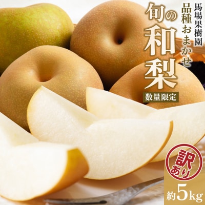 【2026年先行予約/訳あり】【馬場果樹園】品種おまかせ 旬の和梨 約5kg 8月中旬～順次発送