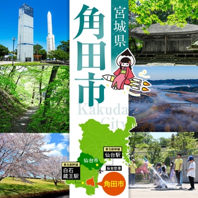 【均一カットの極み】薄切り牛タン3mm 1kg(250g×4パック )宮城県共通返礼品