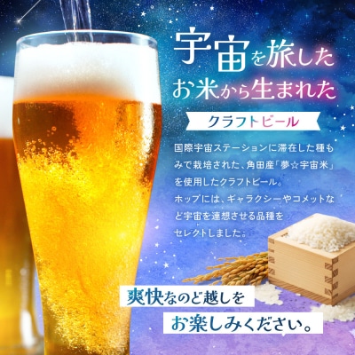 [利久×夢☆宇宙米project] クラフトビール ギャラクティックコメット 30本セット