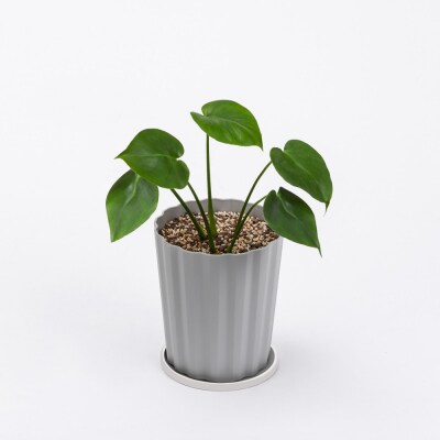 穏やかに育つ観葉植物の土 5L IHPC-5L