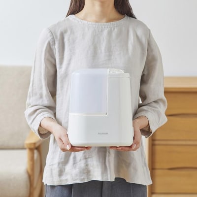 スチーム式加湿器 木造2畳 / 洋室3畳 コンパクト 120ml AHM-H12B-C アイボリー