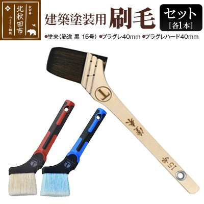 塗来(筋違 黒 15号)とプラグレ2本セット|mhrm-00002