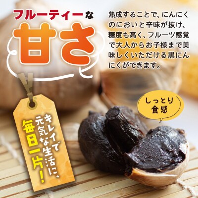 白神フルーツ黒にんにくセットC(バラ粒 100g×3袋)|skfs-00003