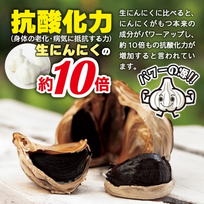 白神フルーツ黒にんにくセットE(バラ粒&バラ小粒)|skfs-00005