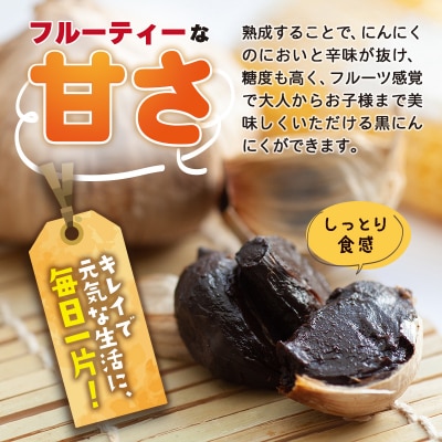 白神フルーツ黒にんにくセットE(バラ粒&バラ小粒)|skfs-00005