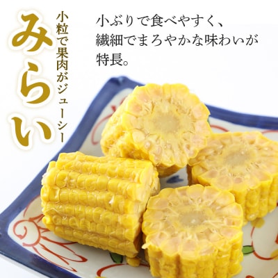 とうもろこし「やまだのきみ」 みらい 8本(小)|ymdf-00002