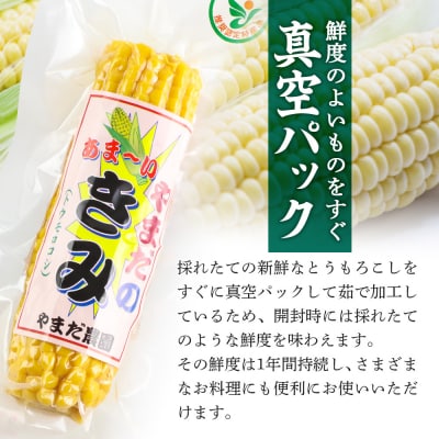 とうもろこし「やまだのきみ」 みらい 8本(小)|ymdf-00002